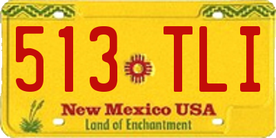 NM license plate 513TLI