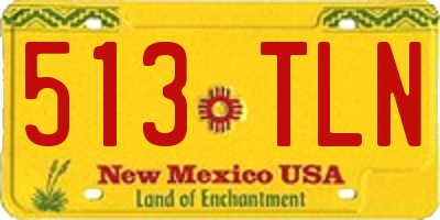 NM license plate 513TLN
