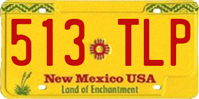 NM license plate 513TLP