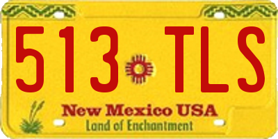 NM license plate 513TLS