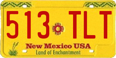 NM license plate 513TLT