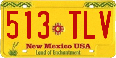 NM license plate 513TLV