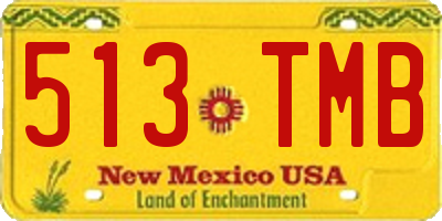 NM license plate 513TMB