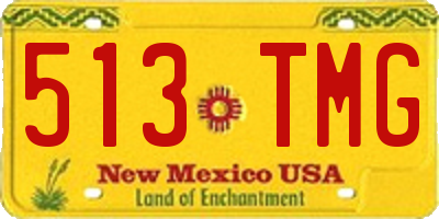 NM license plate 513TMG