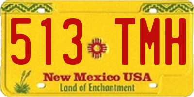 NM license plate 513TMH
