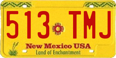 NM license plate 513TMJ