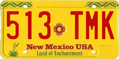 NM license plate 513TMK
