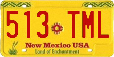 NM license plate 513TML