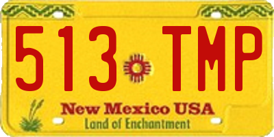 NM license plate 513TMP
