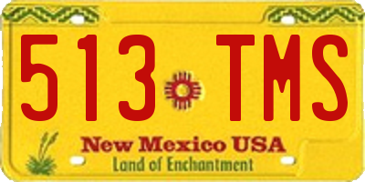 NM license plate 513TMS