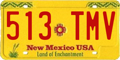 NM license plate 513TMV