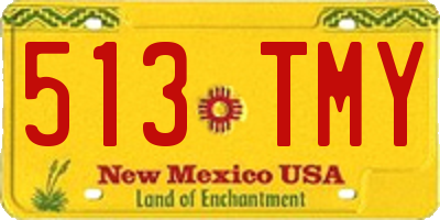 NM license plate 513TMY