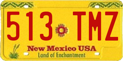 NM license plate 513TMZ