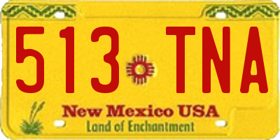 NM license plate 513TNA