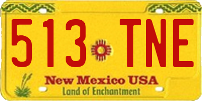 NM license plate 513TNE
