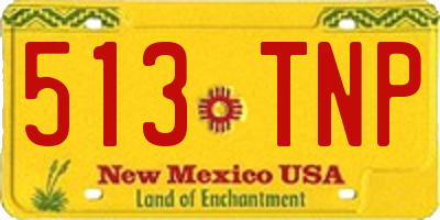 NM license plate 513TNP