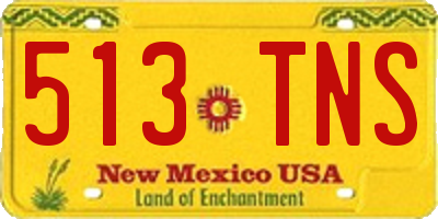 NM license plate 513TNS