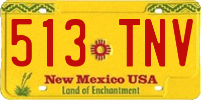 NM license plate 513TNV