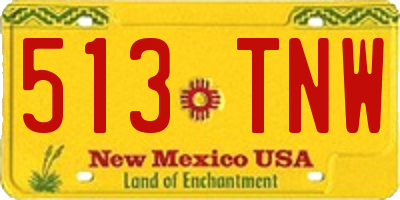 NM license plate 513TNW