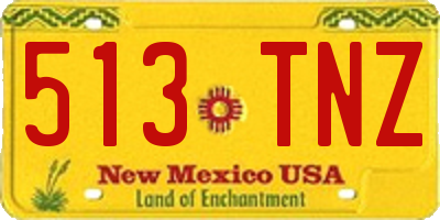NM license plate 513TNZ