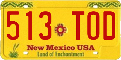 NM license plate 513TOD