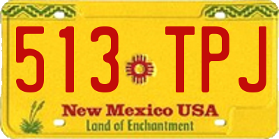 NM license plate 513TPJ