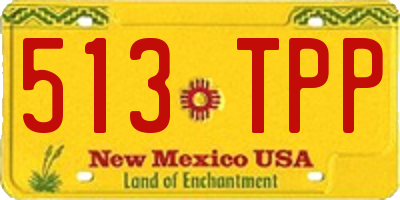 NM license plate 513TPP