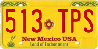 NM license plate 513TPS