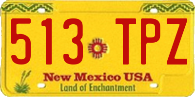 NM license plate 513TPZ