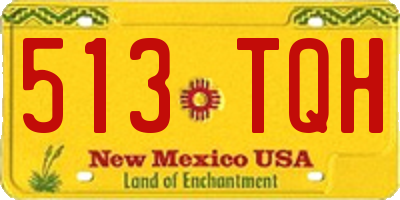 NM license plate 513TQH