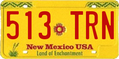 NM license plate 513TRN