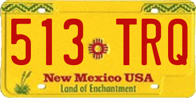 NM license plate 513TRQ