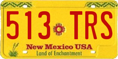 NM license plate 513TRS