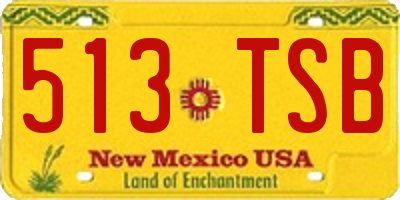 NM license plate 513TSB