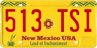 NM license plate 513TSI