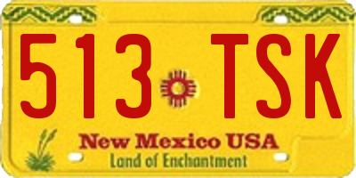 NM license plate 513TSK