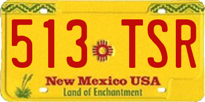 NM license plate 513TSR
