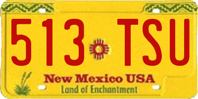 NM license plate 513TSU