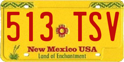 NM license plate 513TSV
