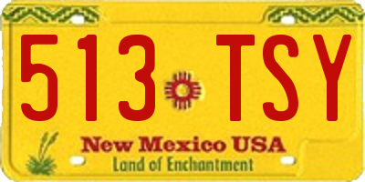 NM license plate 513TSY