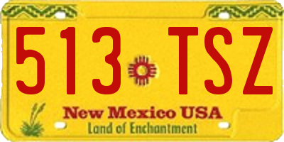 NM license plate 513TSZ