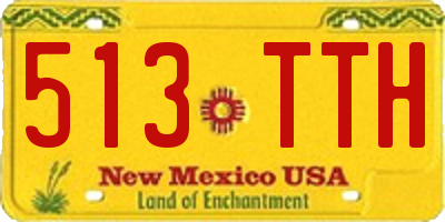 NM license plate 513TTH