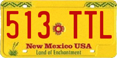 NM license plate 513TTL