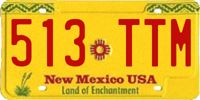 NM license plate 513TTM