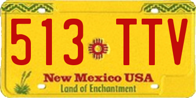 NM license plate 513TTV