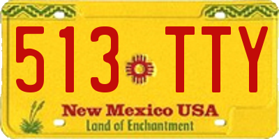 NM license plate 513TTY