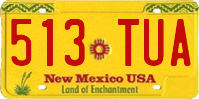 NM license plate 513TUA