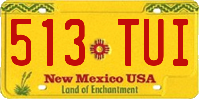 NM license plate 513TUI