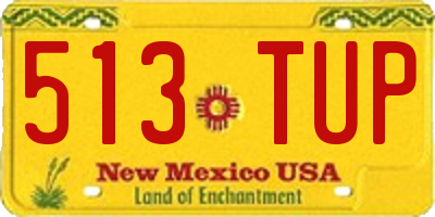 NM license plate 513TUP