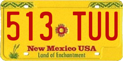 NM license plate 513TUU